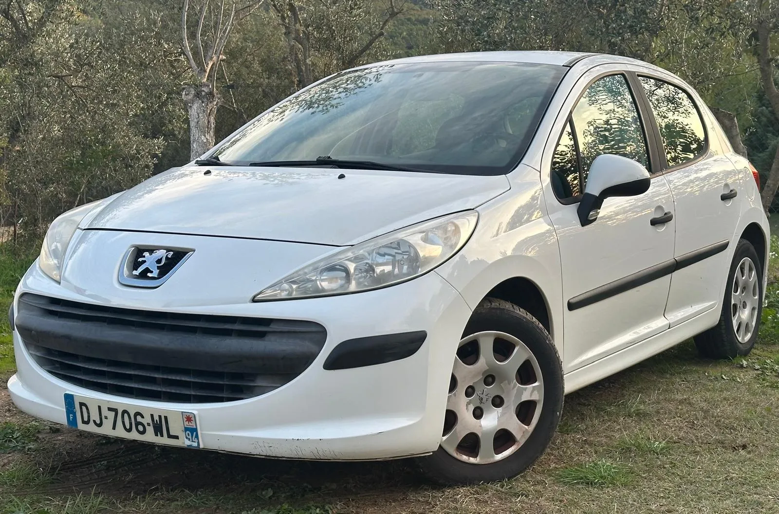 Peugeot 207 1.4 HDi 70 ch Active 5 portes