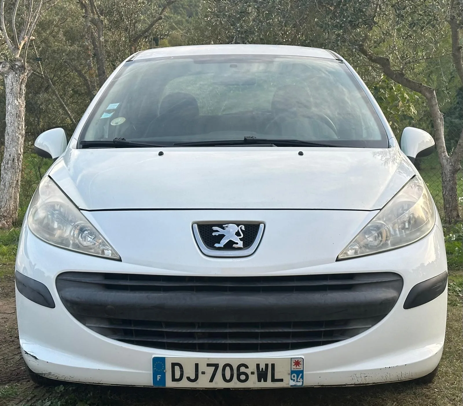 Peugeot 207 1.4 HDi 70 ch Active 5 portes