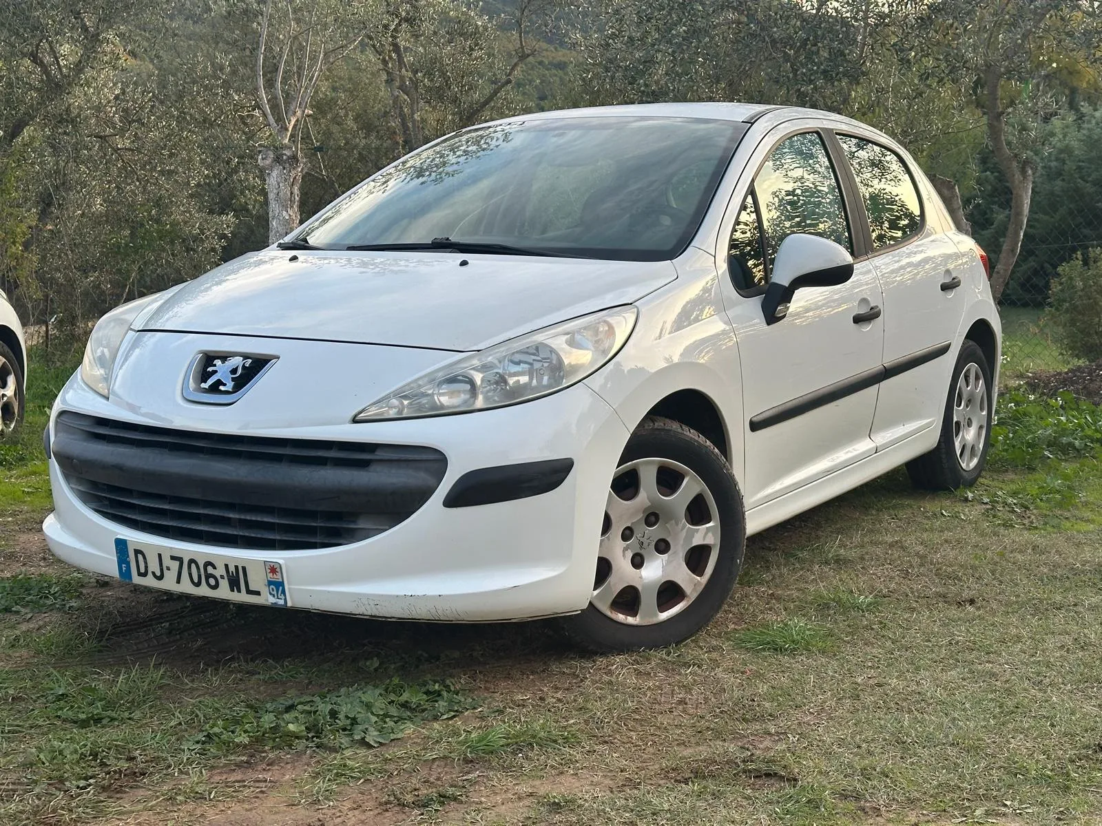 Peugeot 207 1.4 HDi 70 ch Active 5 portes